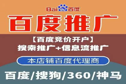 百度推广实战：成功案例解析